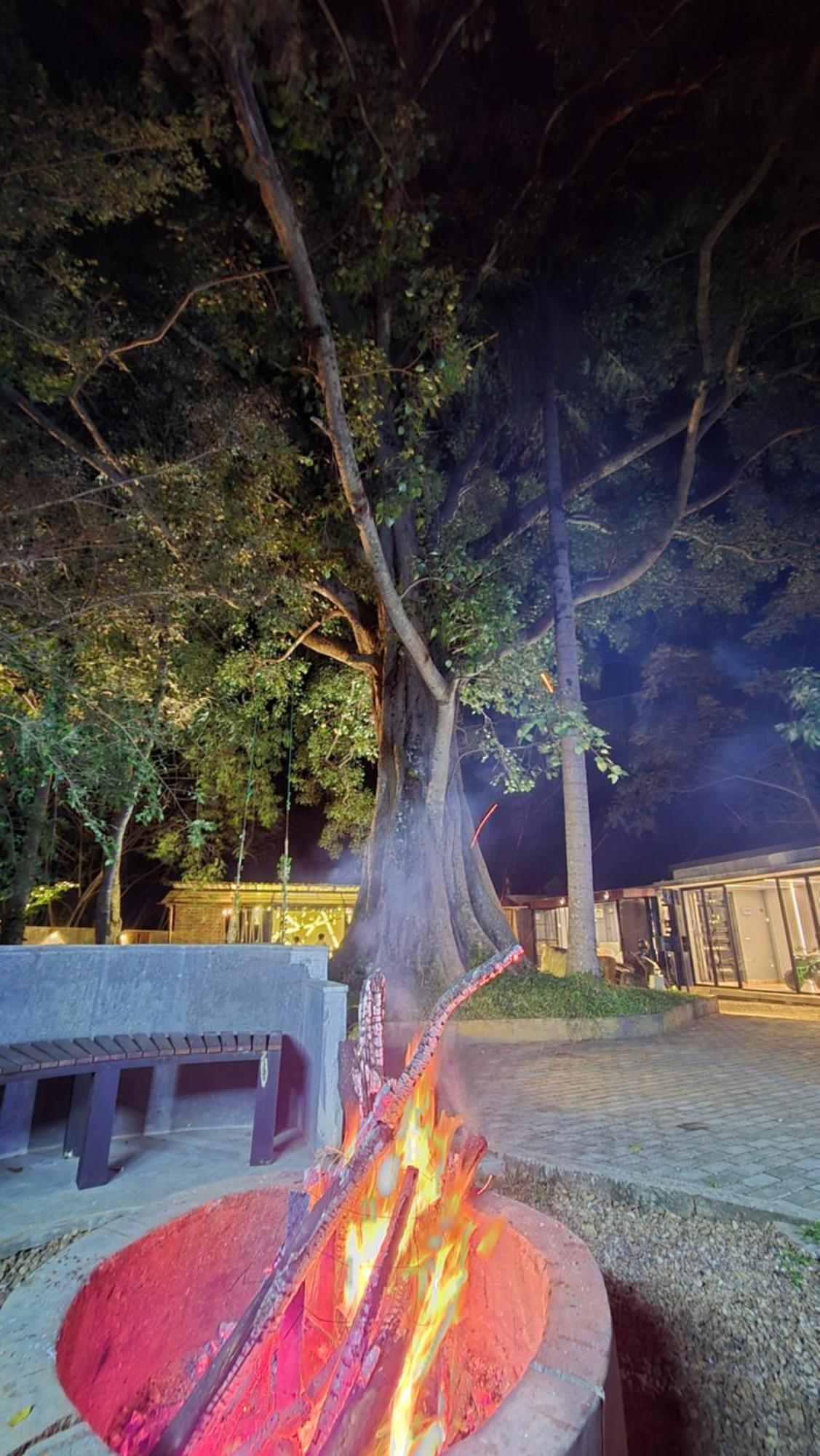 Area 4 Eco Cubes Daire Procida Dış mekan fotoğraf